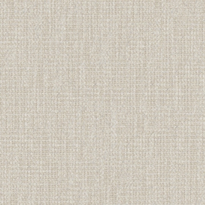 Bouclette 25 - Fossil