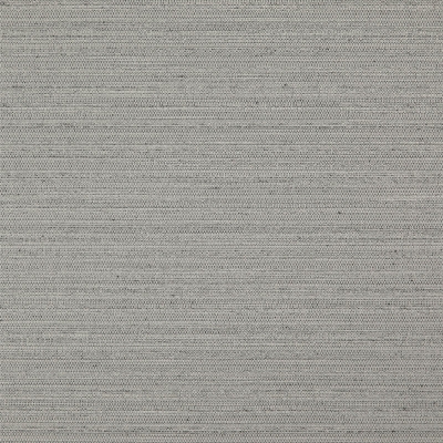Nova_31-Metal