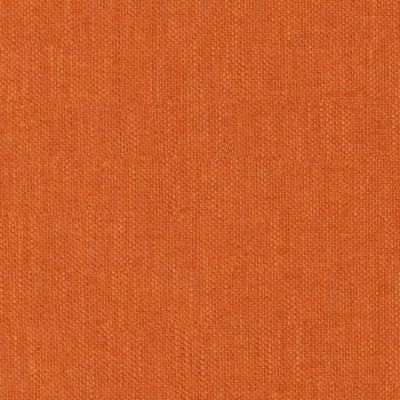 Perfecto 32 - Carrot