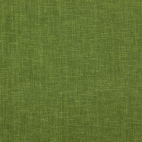 Rover_32-Pesto