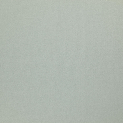 Supernova_19-Limestone