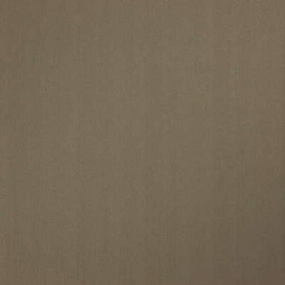 Supernova_26-Beech