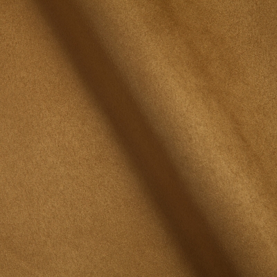 12-B-Antelope