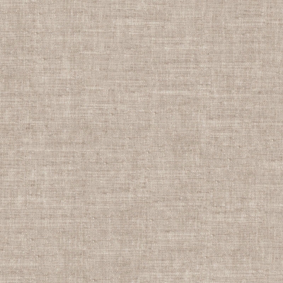 Tonto 02 - Fossil