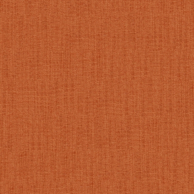 Wisdom-24-Spice