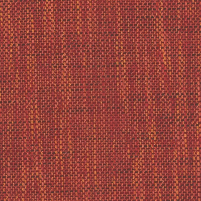 Zena 30 - Spice
